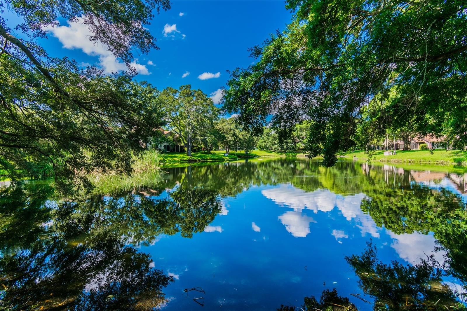 775 ROLLING HILLS DR, PALM HARBOR, FL, 34683