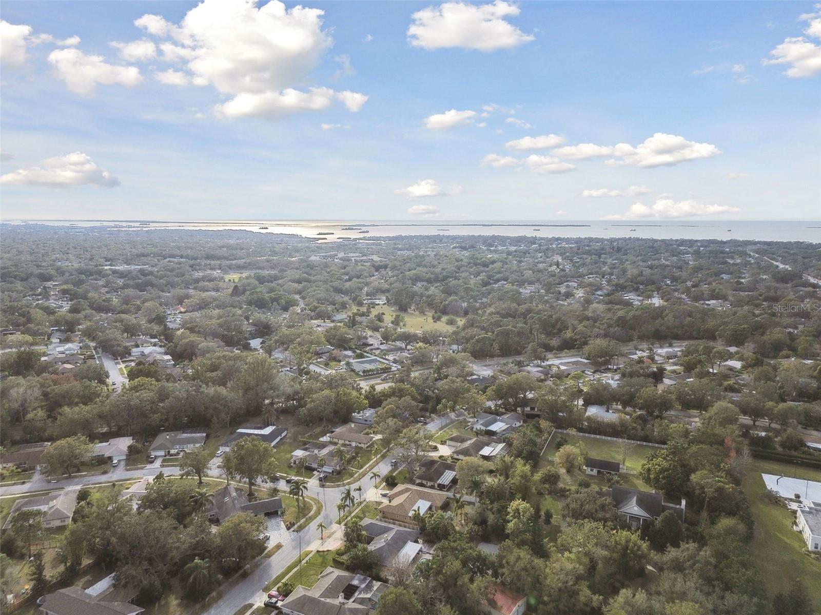 775 ROLLING HILLS DR, PALM HARBOR, FL, 34683