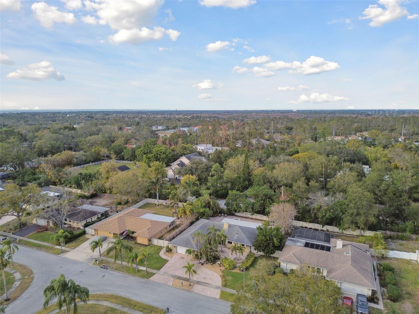 775 ROLLING HILLS DR, PALM HARBOR, FL, 34683