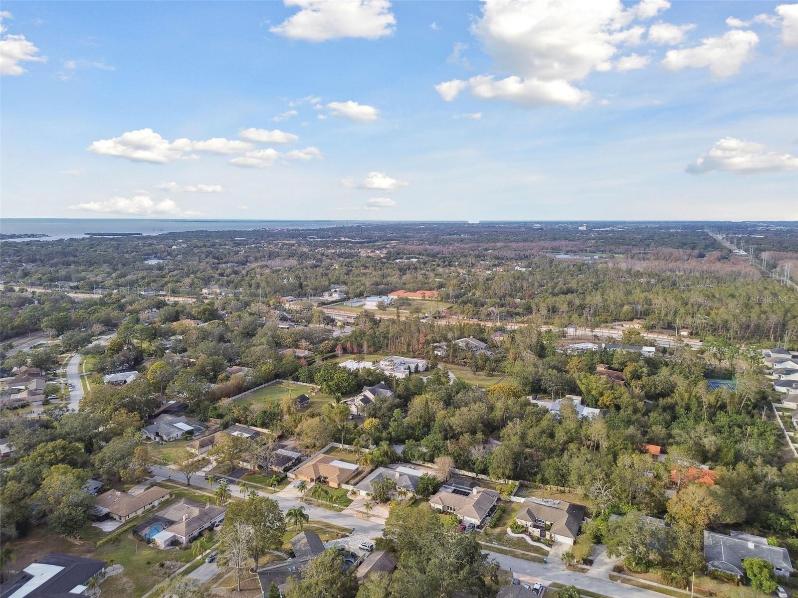 775 ROLLING HILLS DR, PALM HARBOR, FL, 34683