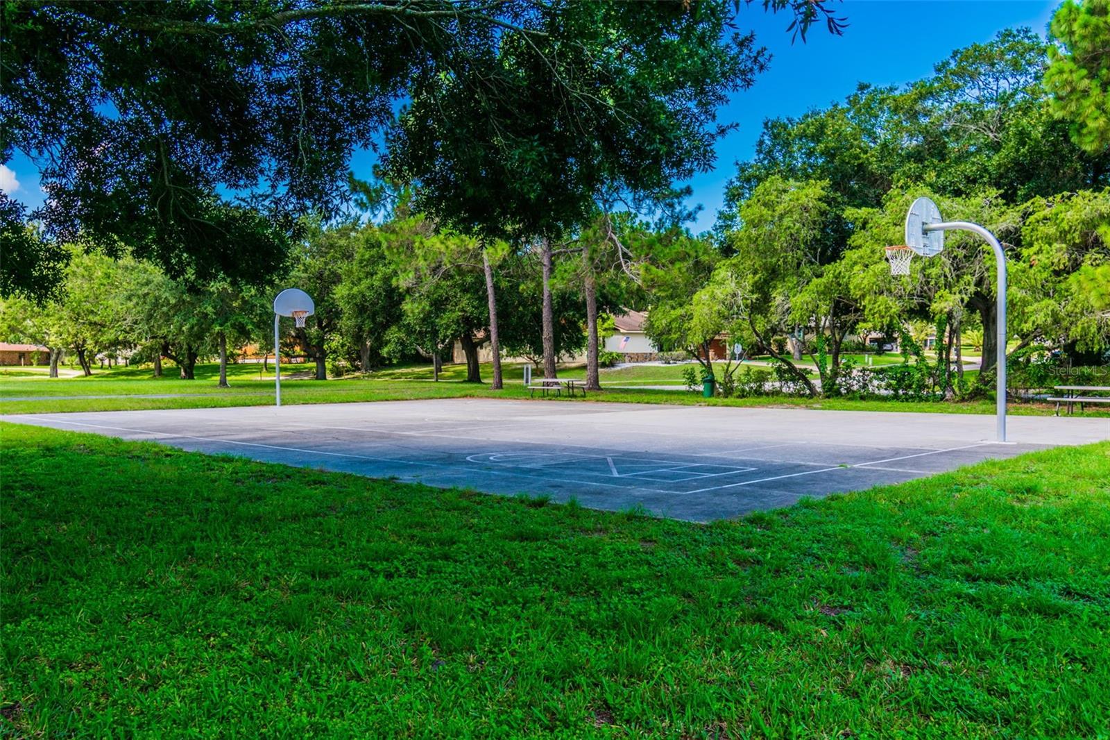 775 ROLLING HILLS DR, PALM HARBOR, FL, 34683