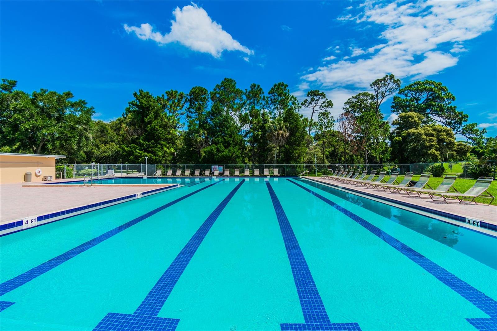 775 ROLLING HILLS DR, PALM HARBOR, FL, 34683
