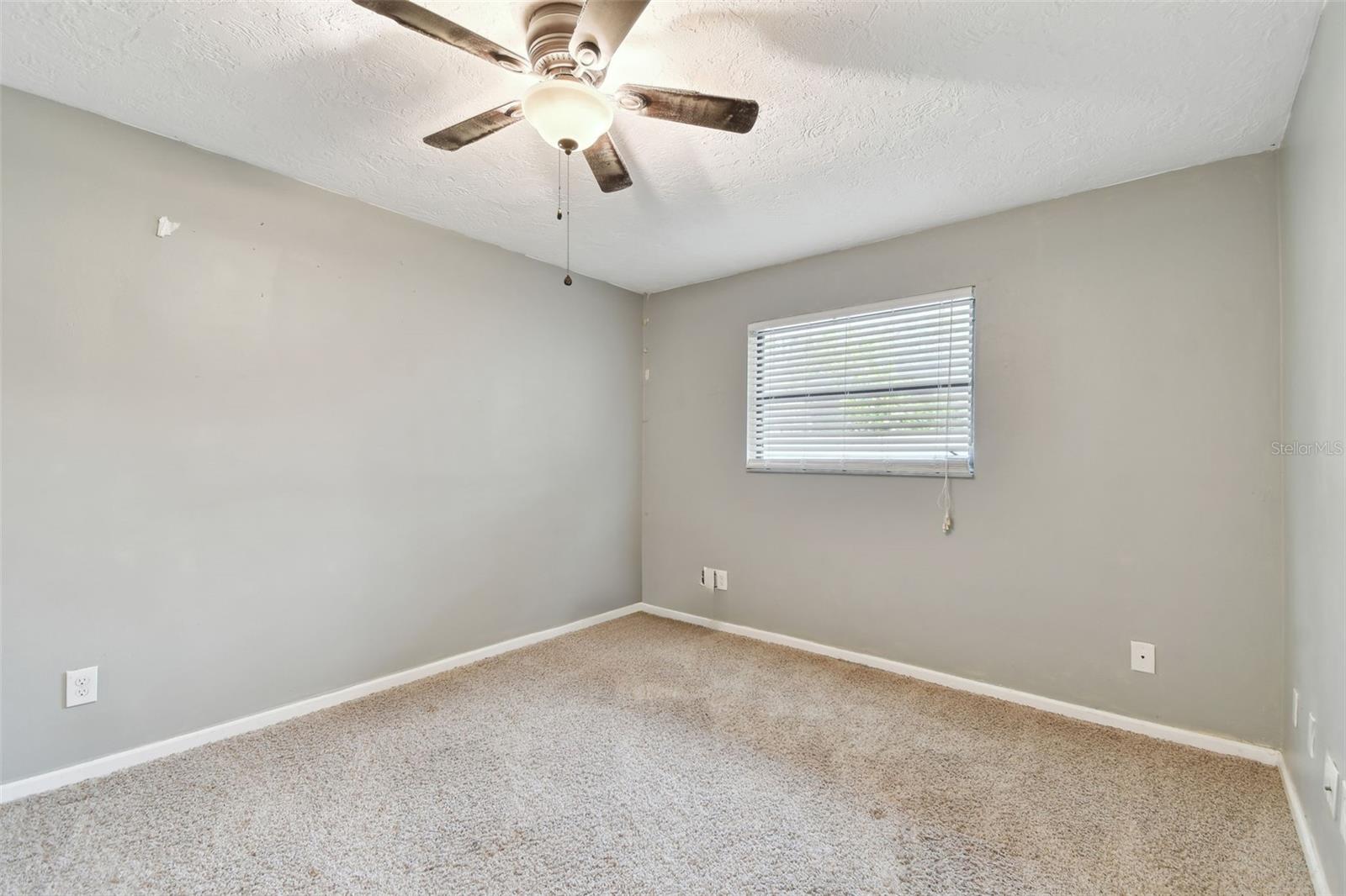 775 ROLLING HILLS DR, PALM HARBOR, FL, 34683