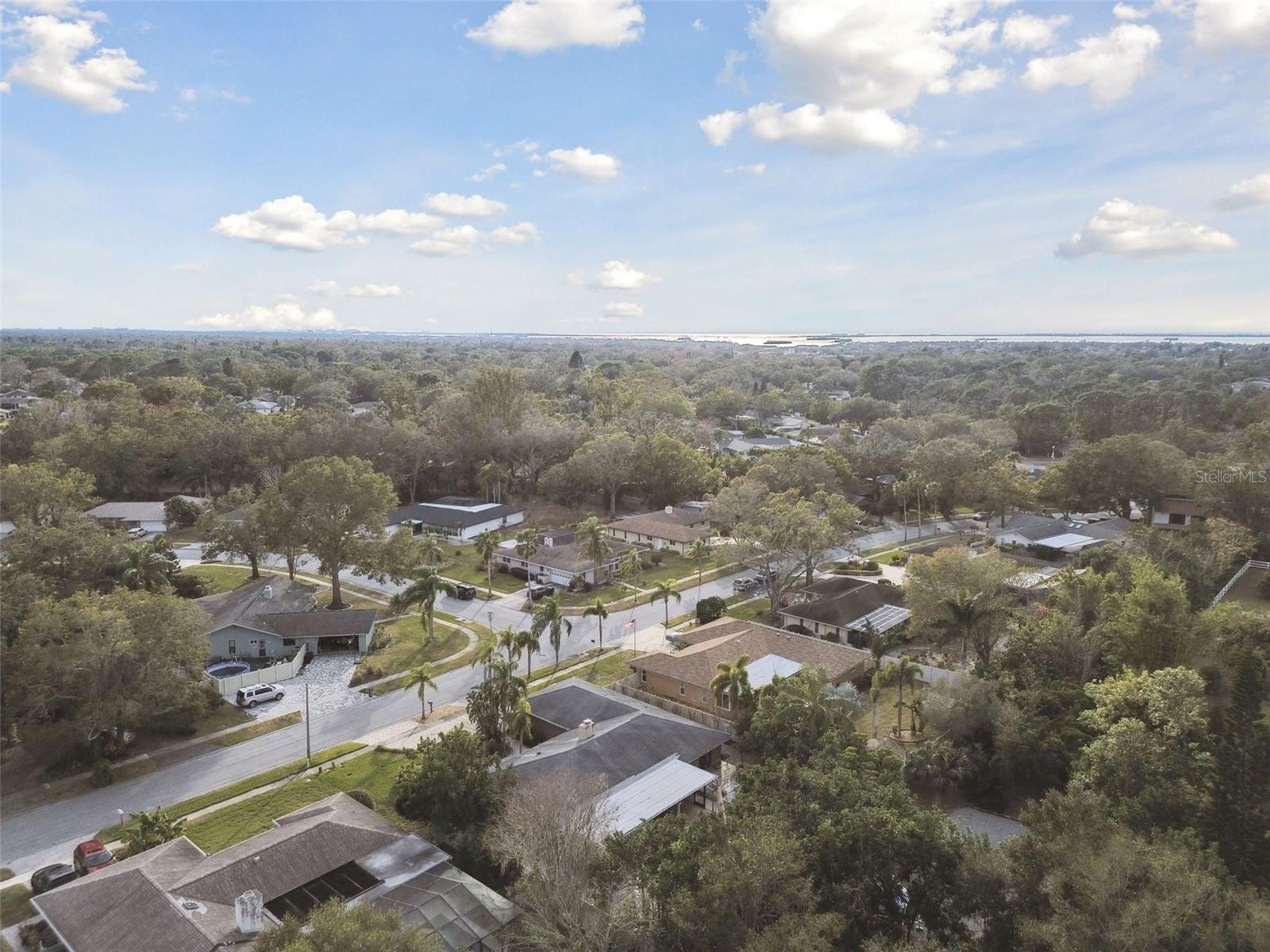 775 ROLLING HILLS DR, PALM HARBOR, FL, 34683