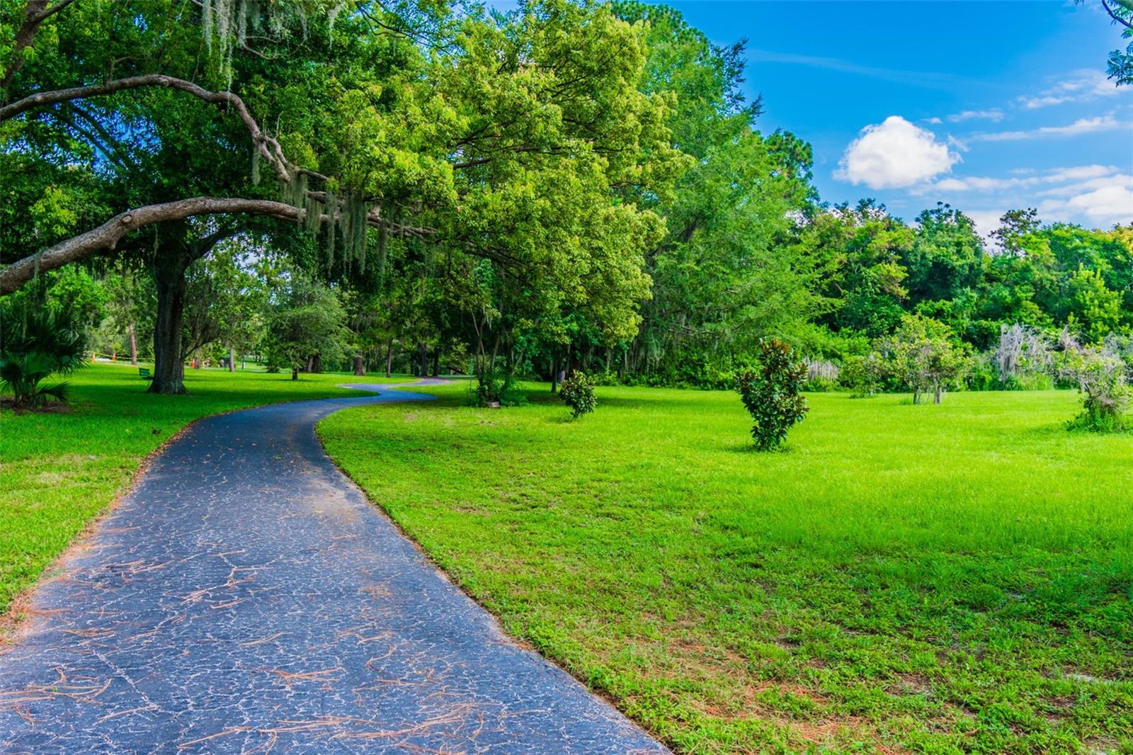 775 ROLLING HILLS DR, PALM HARBOR, FL, 34683