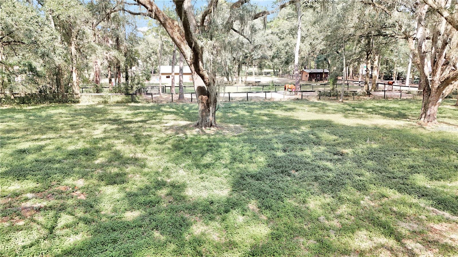 11431 NW 100TH ST, OCALA, FL, 34482