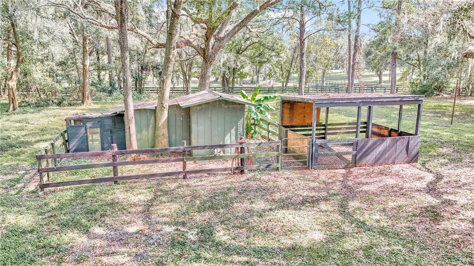 11431 NW 100TH ST, OCALA, FL, 34482