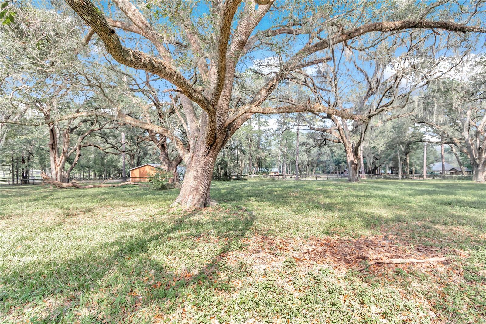 11431 NW 100TH ST, OCALA, FL, 34482