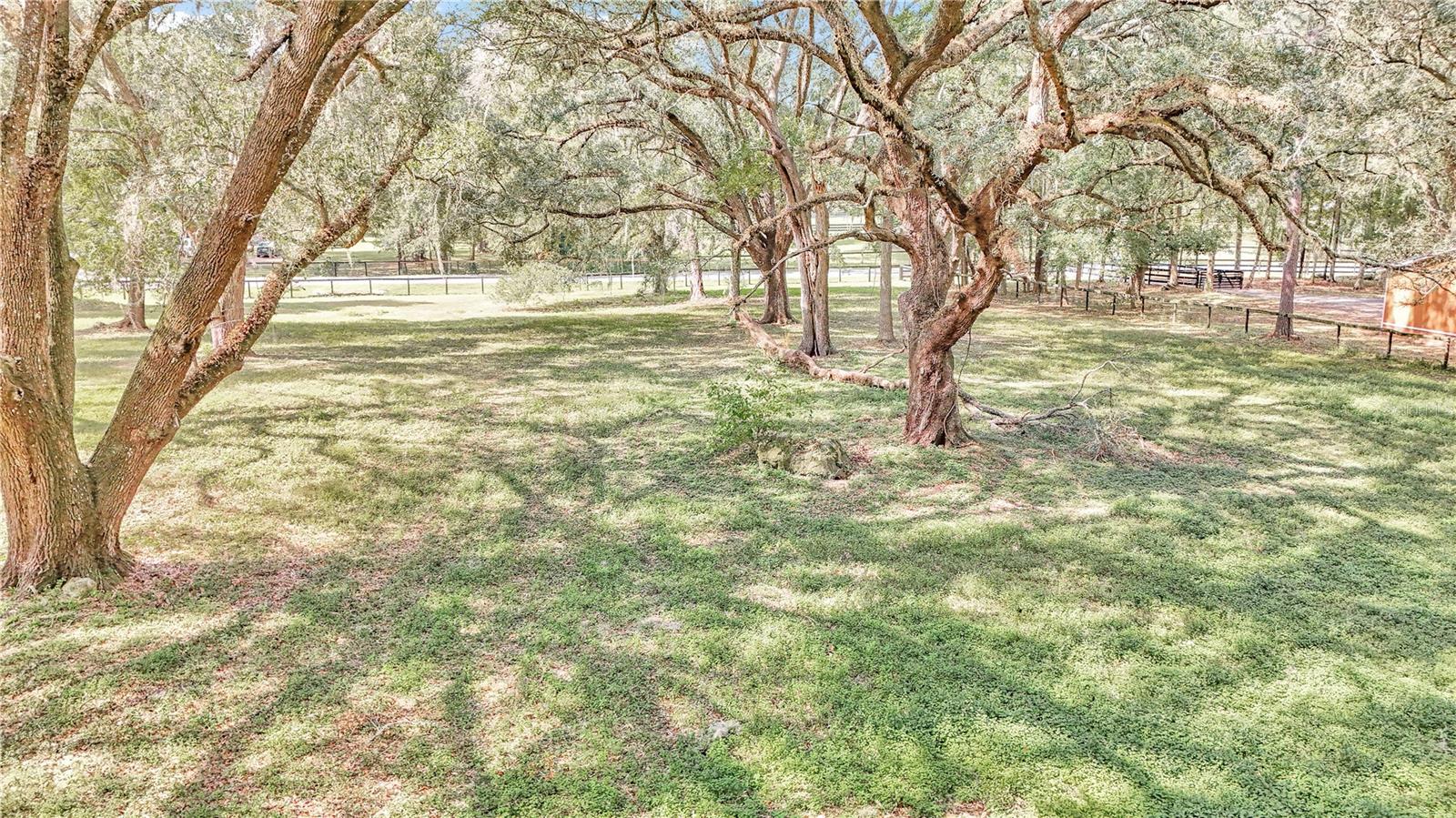 11431 NW 100TH ST, OCALA, FL, 34482