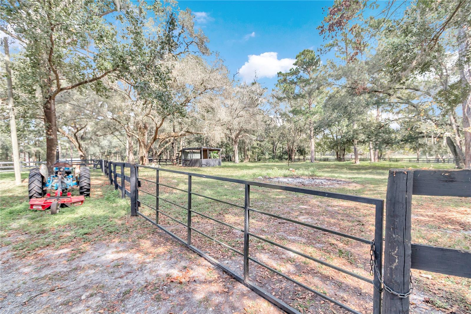 11431 NW 100TH ST, OCALA, FL, 34482