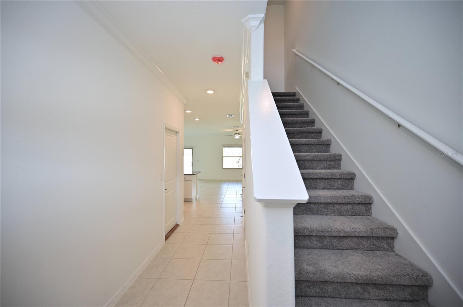 9633 ASHWORTH PL, LAND O LAKES, FL, 34637