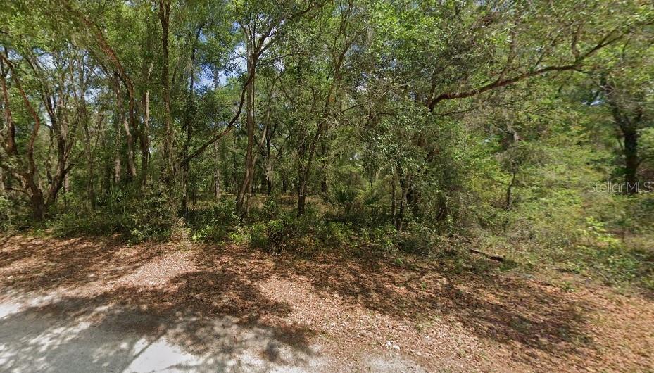 TBD ST GEORGE DR, DUNNELLON, FL, 34432