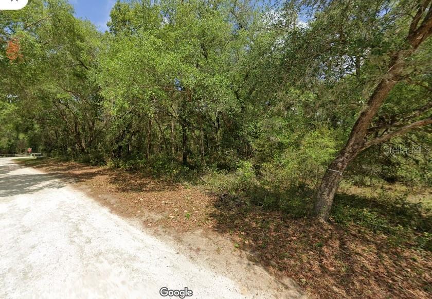 TBD ST GEORGE DR, DUNNELLON, FL, 34432