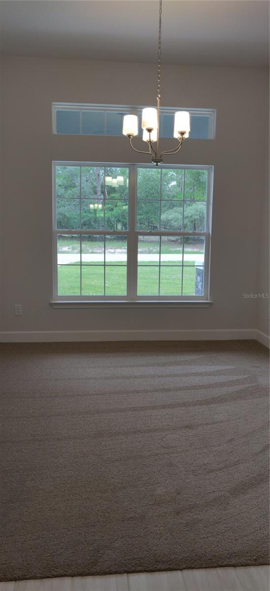 12 GRASS ST, HOMOSASSA, FL, 34446