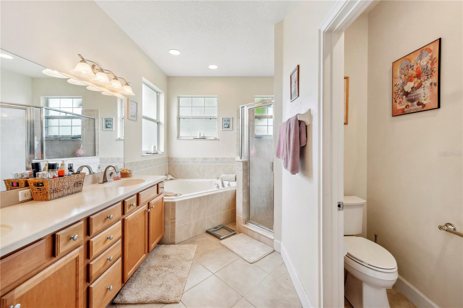 6550 EVERGREEN PARK DR, LAKELAND, FL, 33813