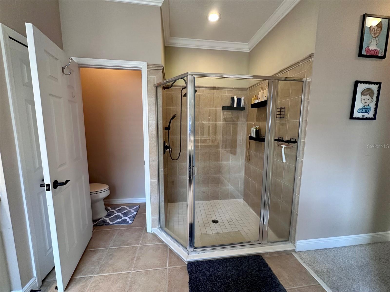 11626 VICOLO LOOP, WINDERMERE, FL, 34786