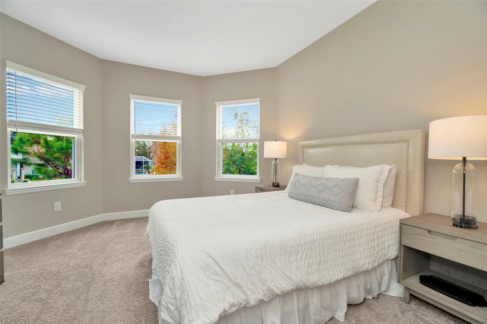 29762 CHAPEL CHASE DR, WESLEY CHAPEL, FL, 33545