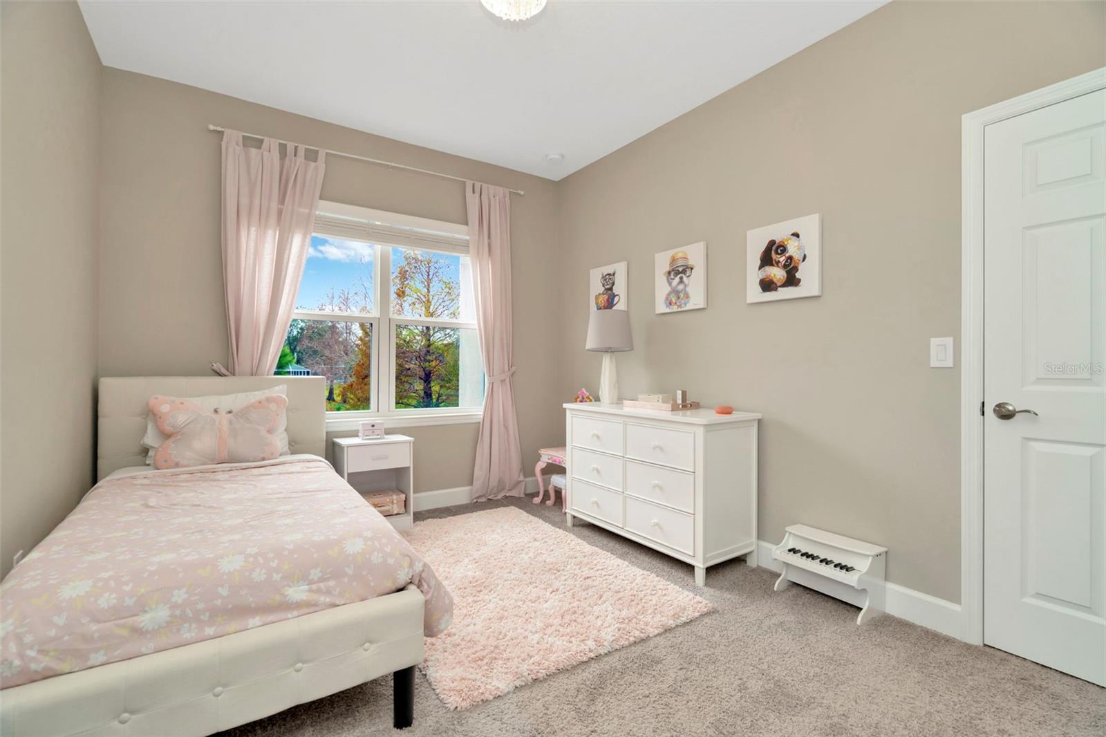 29762 CHAPEL CHASE DR, WESLEY CHAPEL, FL, 33545