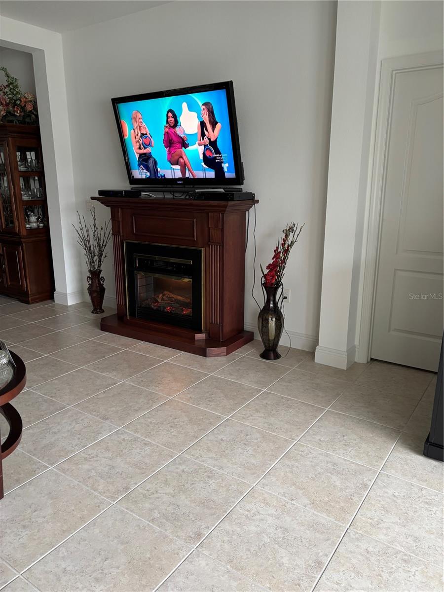 10923 BLUE MAGNOLIA LN, PARRISH, FL, 34219
