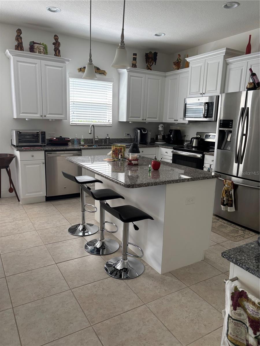 10923 BLUE MAGNOLIA LN, PARRISH, FL, 34219