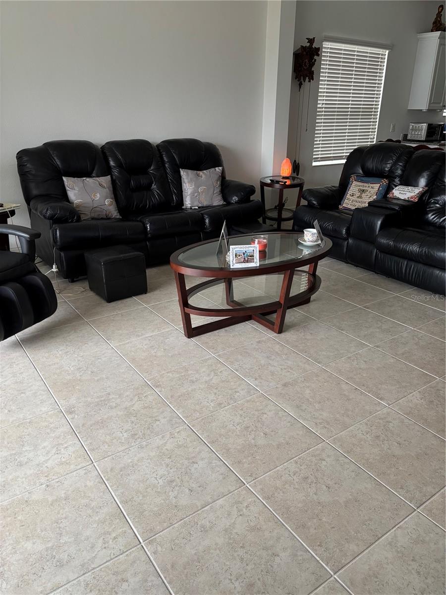 10923 BLUE MAGNOLIA LN, PARRISH, FL, 34219