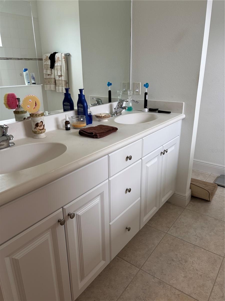 10923 BLUE MAGNOLIA LN, PARRISH, FL, 34219