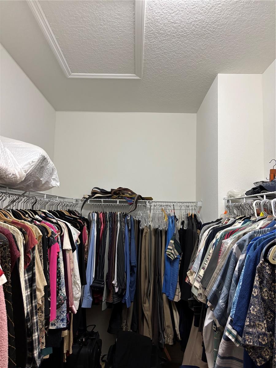 10923 BLUE MAGNOLIA LN, PARRISH, FL, 34219