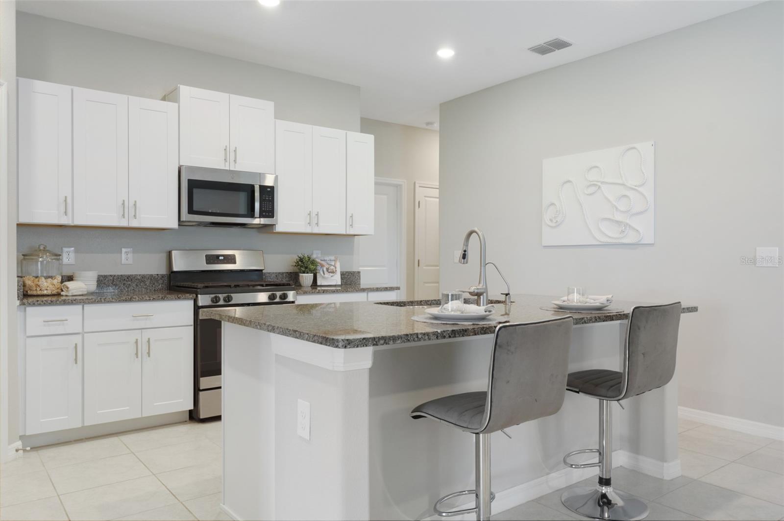 9805 LEMON DROP LOOP, SUN CITY CENTER, FL, 33573