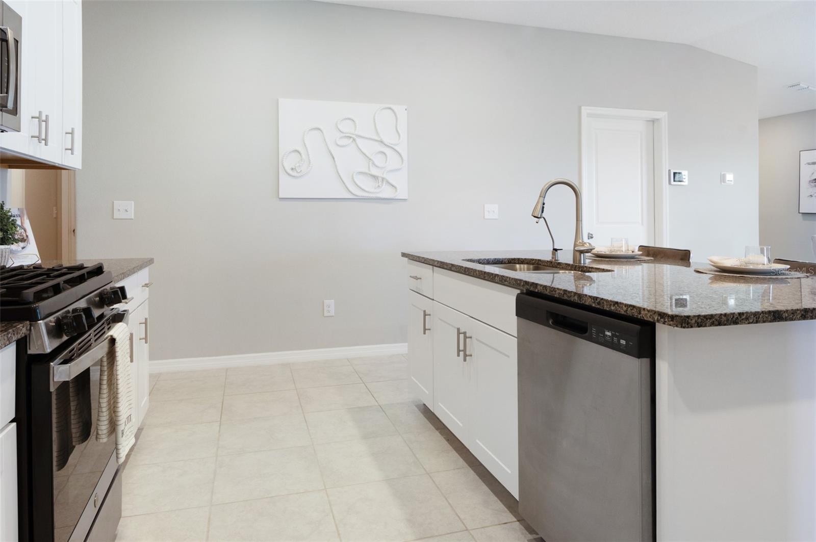 9805 LEMON DROP LOOP, SUN CITY CENTER, FL, 33573