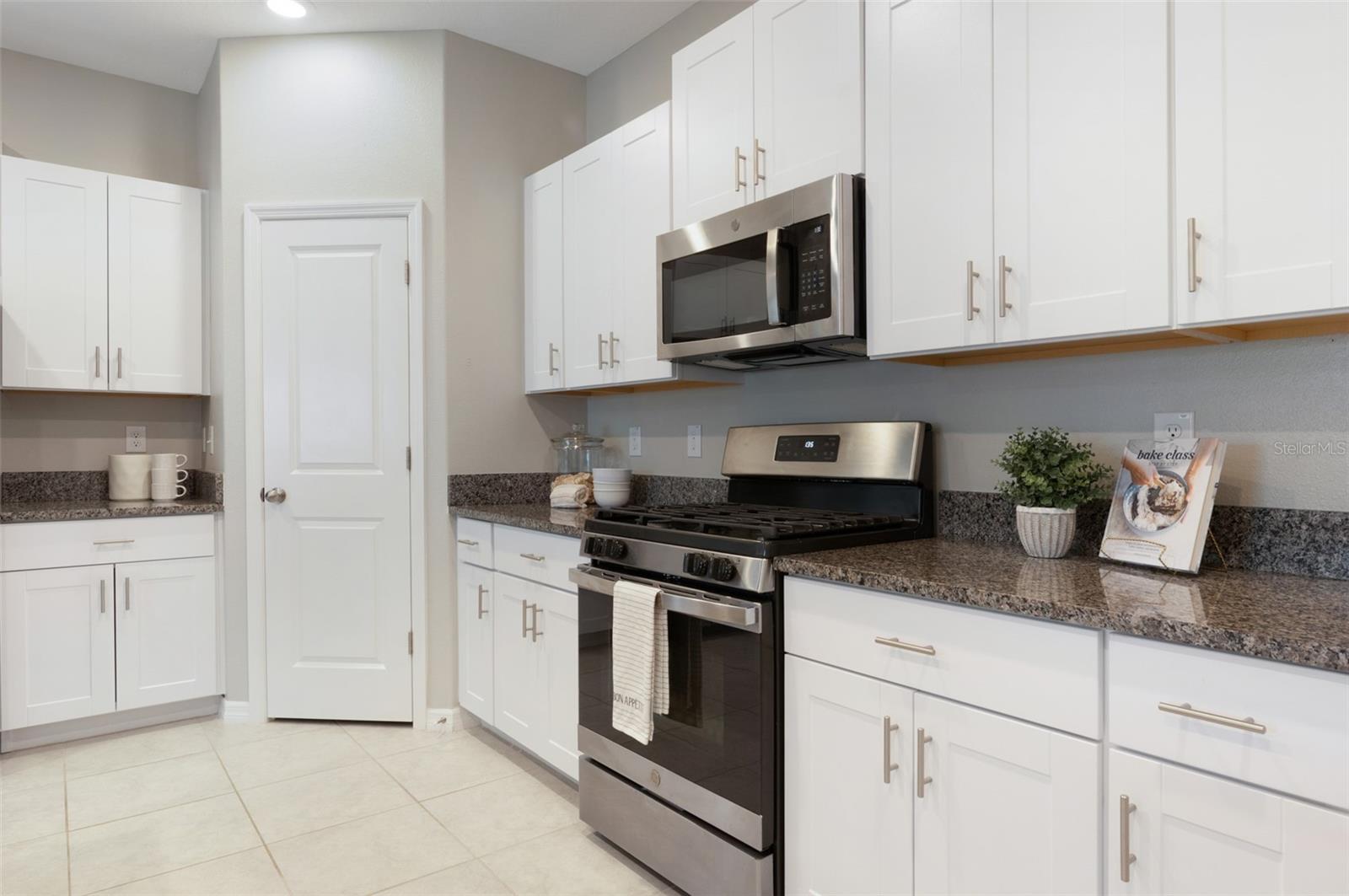 9805 LEMON DROP LOOP, SUN CITY CENTER, FL, 33573