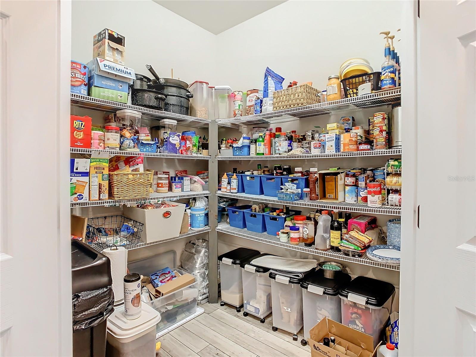 11701 BRIGHTON KNOLL LOOP, RIVERVIEW, FL, 33579