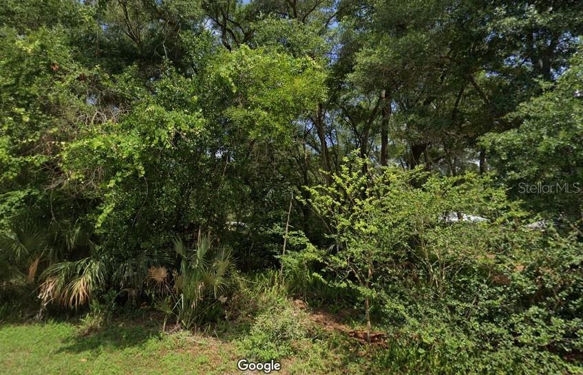 19325 ST GEORGE DR, DUNNELLON, FL, 34432