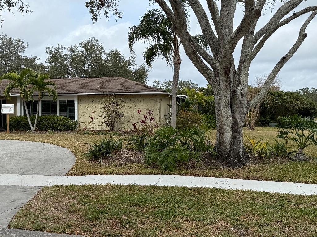 3039 SANDPIPER CT, CLEARWATER, FL, 33762