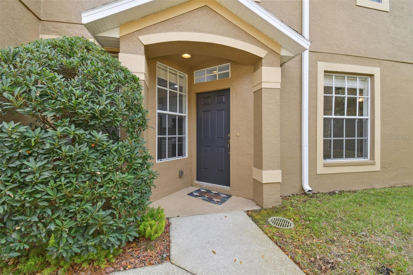 18924 DUQUESNE DR, TAMPA, FL, 33647