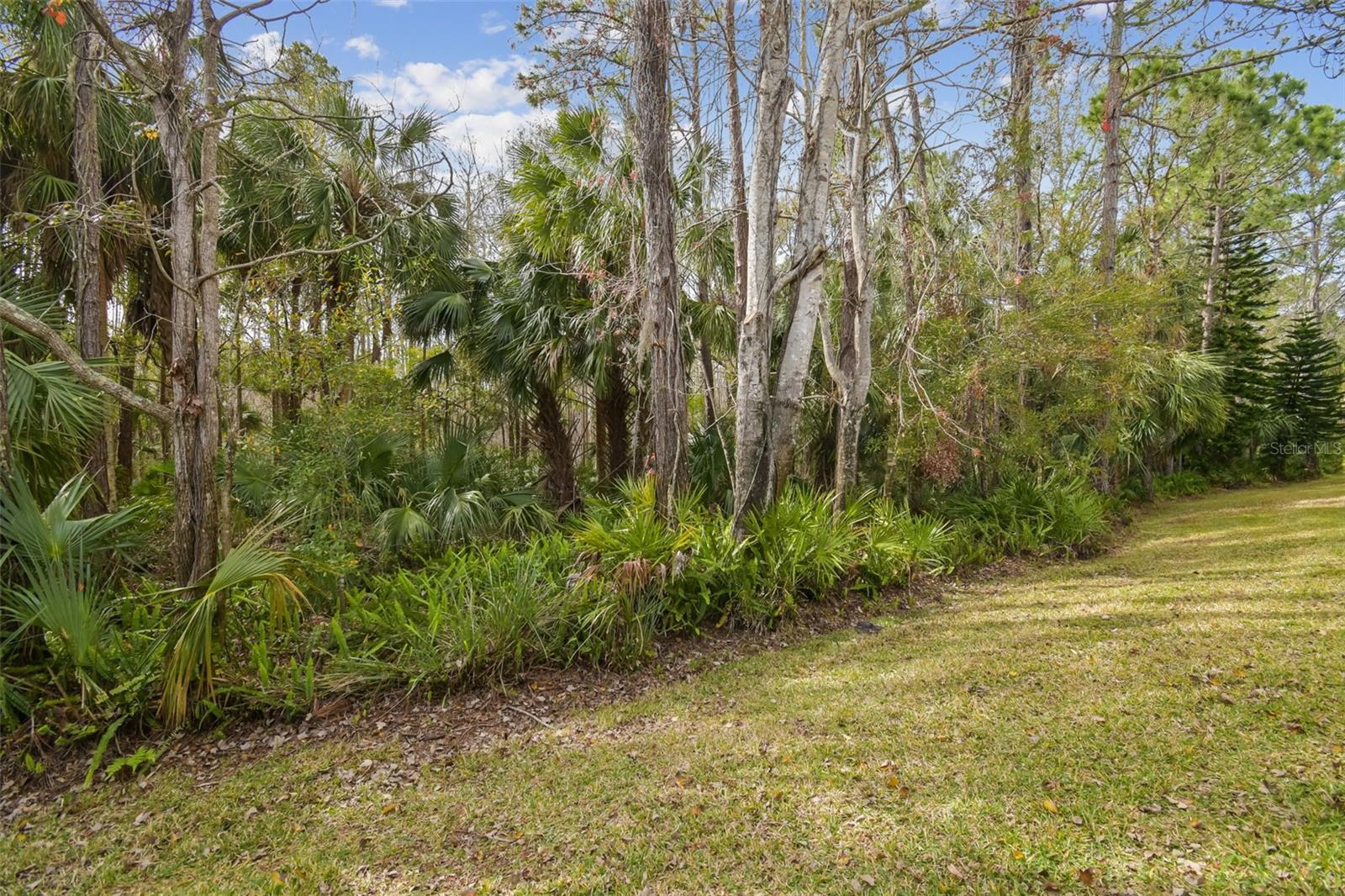 18924 DUQUESNE DR, TAMPA, FL, 33647