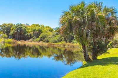 4215 E BAY DR #1105C, CLEARWATER, FL, 33764