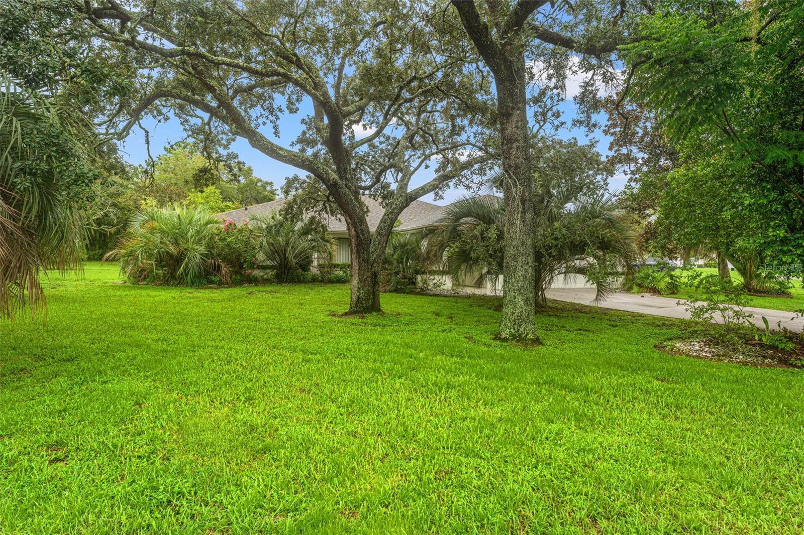 10186 SLEEPY WILLOW CT, SPRING HILL, FL, 34608