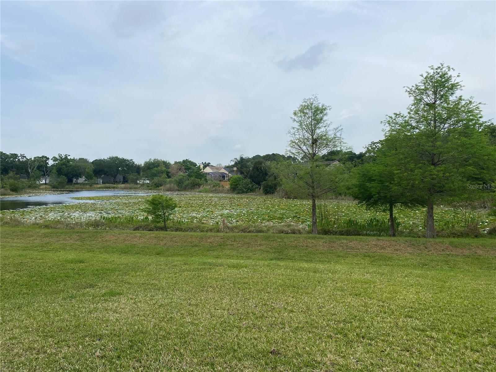 5904 PAXTON CT, APOPKA, FL, 32703
