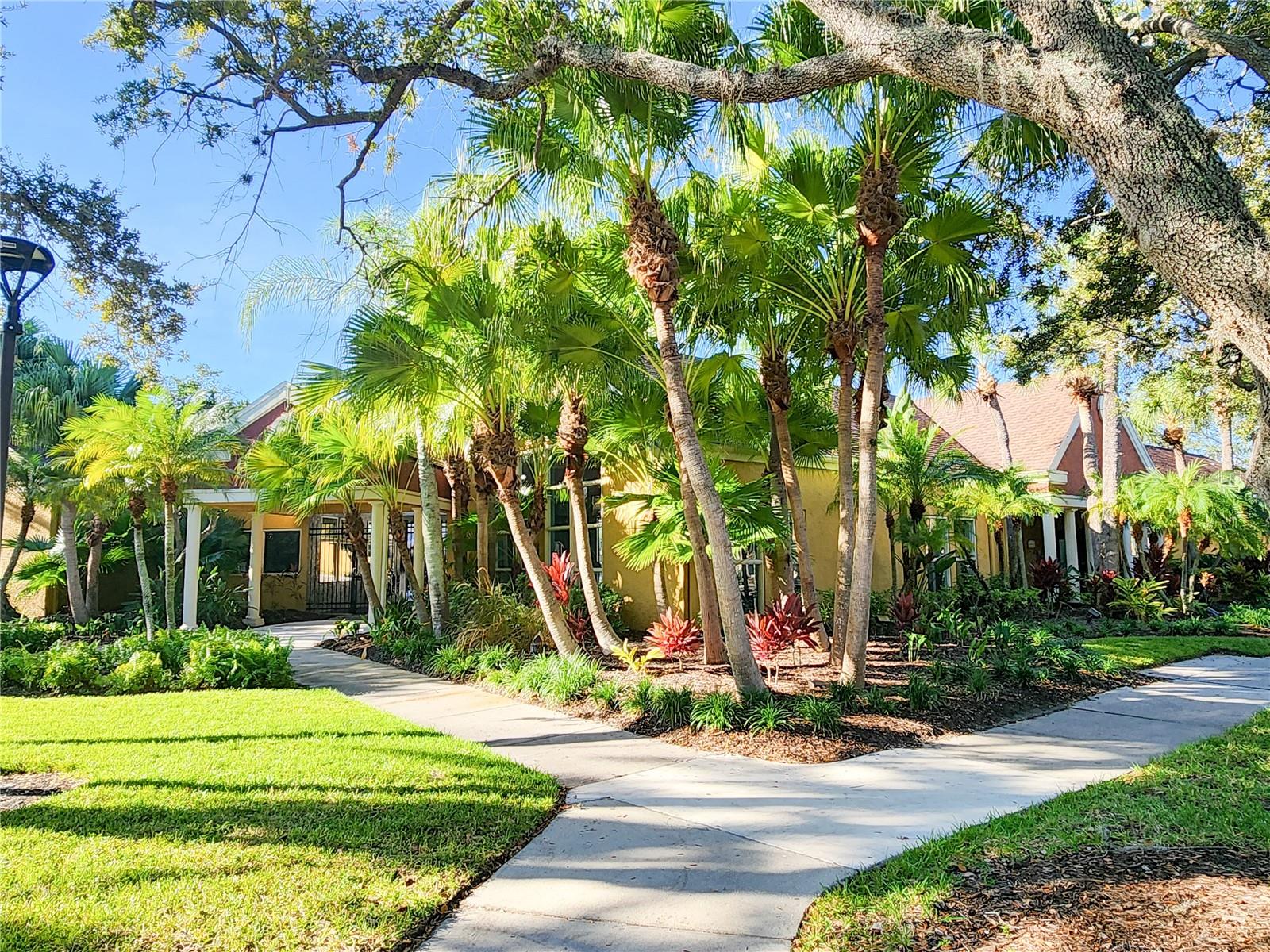 5542 BAYWATER DR, TAMPA, FL, 33615