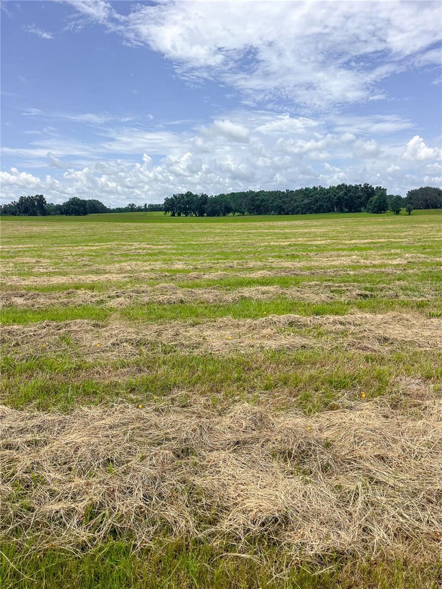 14720 40TH ST, LIVE OAK, FL, 32060