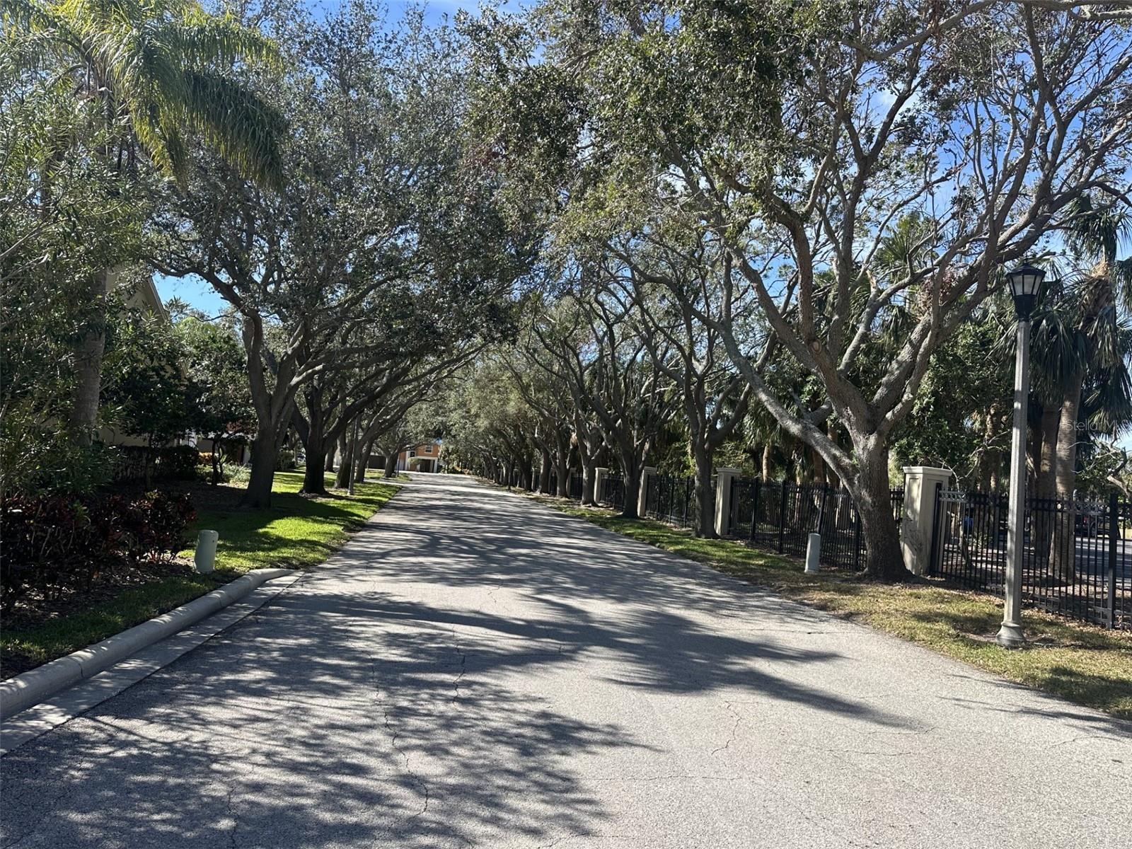 25 LINCOLN AVE S, ST PETERSBURG, FL, 33711