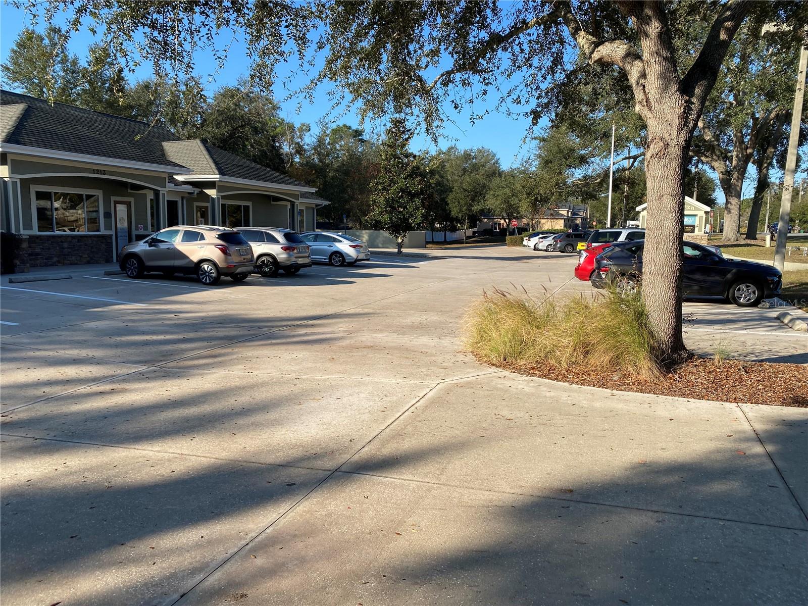 1213 W MILLER ST, FRUITLAND PARK, FL, 34731
