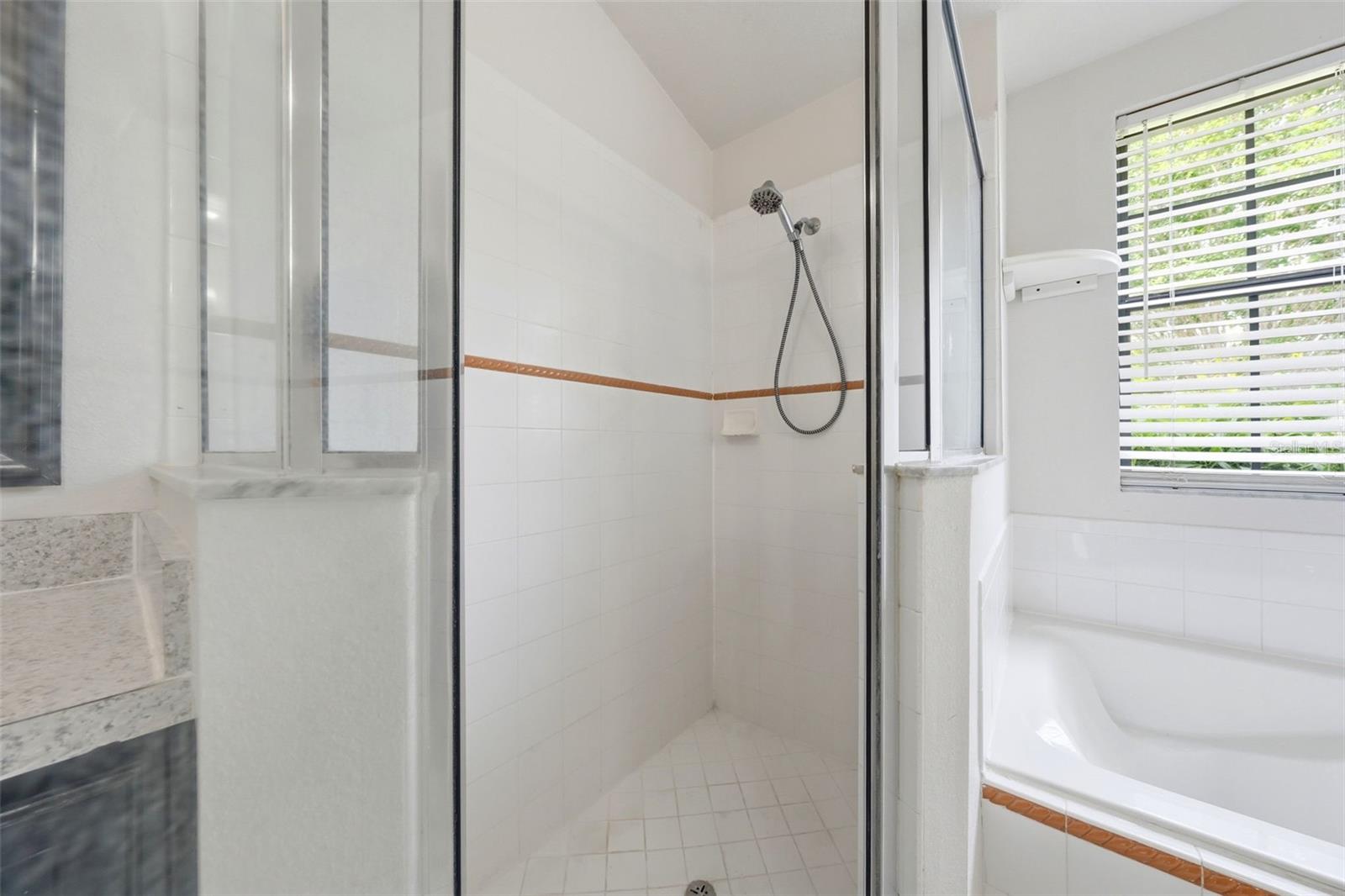 36341 GRAND ISLAND OAKS CIR, GRAND ISLAND, FL, 32735
