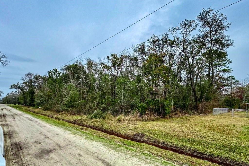 10230 WEATHERBY AVE, HASTINGS, FL, 32145
