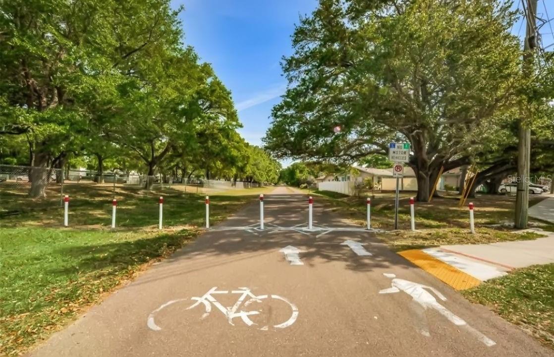800 MISSOURI AVE, PALM HARBOR, FL, 34683