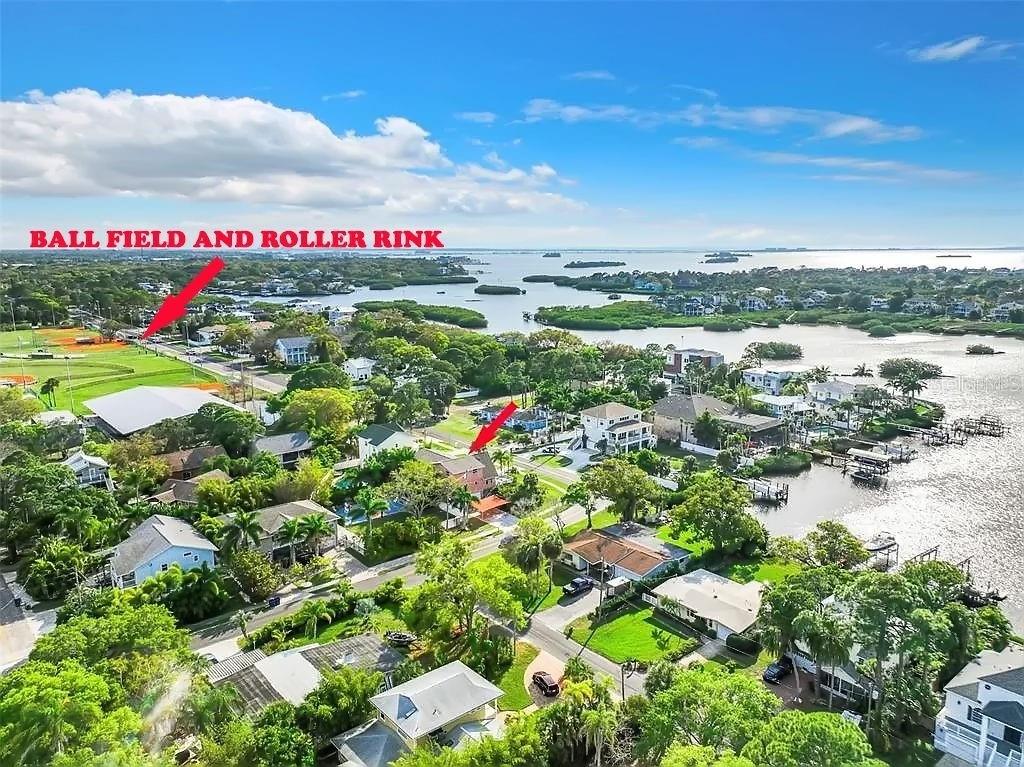 800 MISSOURI AVE, PALM HARBOR, FL, 34683