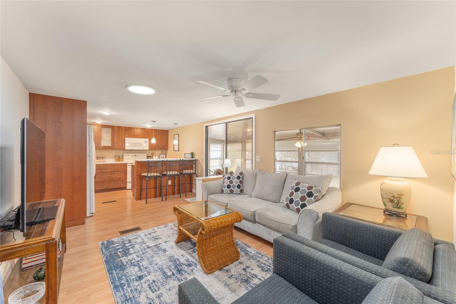 807 MAPLE LN, THE VILLAGES, FL, 32159