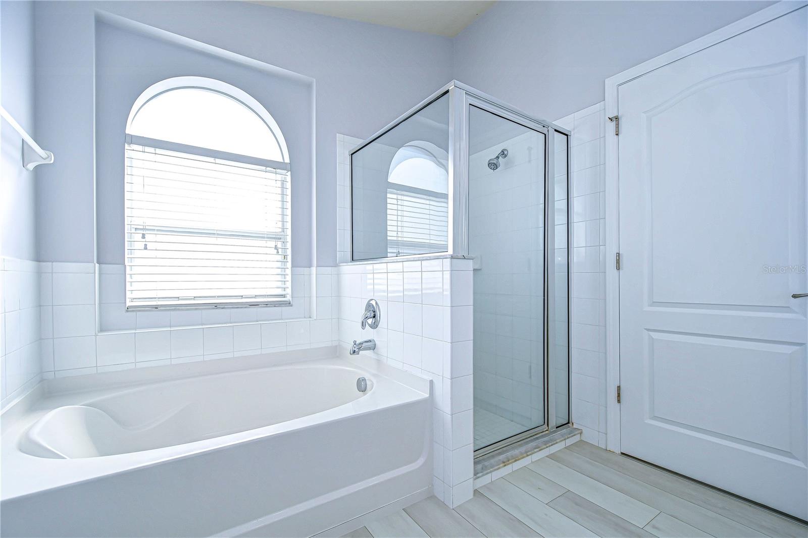 31342 PHILMAR LN, WESLEY CHAPEL, FL, 33543