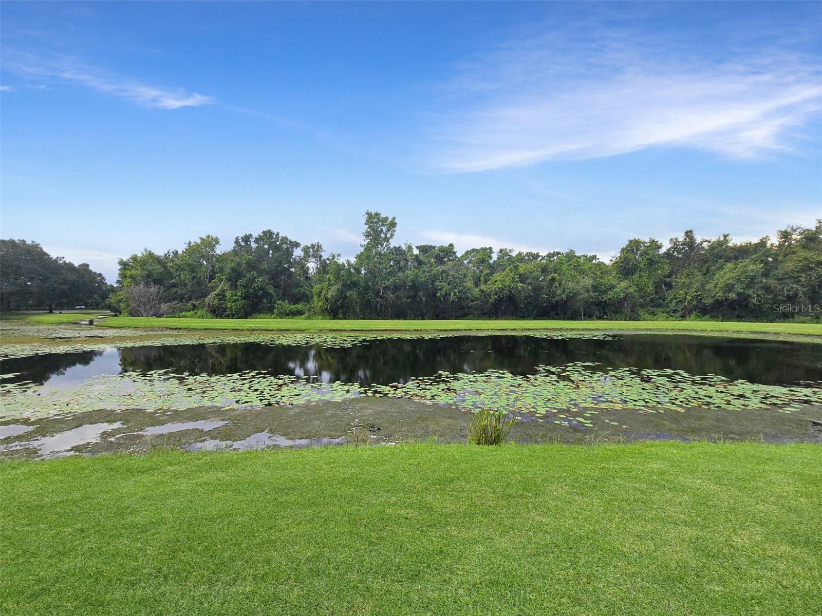 6470 GOLDEN LEAF CT, LAKEWOOD RANCH, FL, 34202