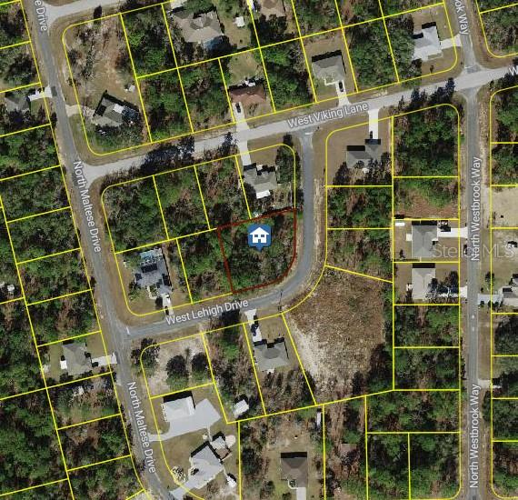 3309 W LEHIGH DR, CITRUS SPRINGS, FL, 34433